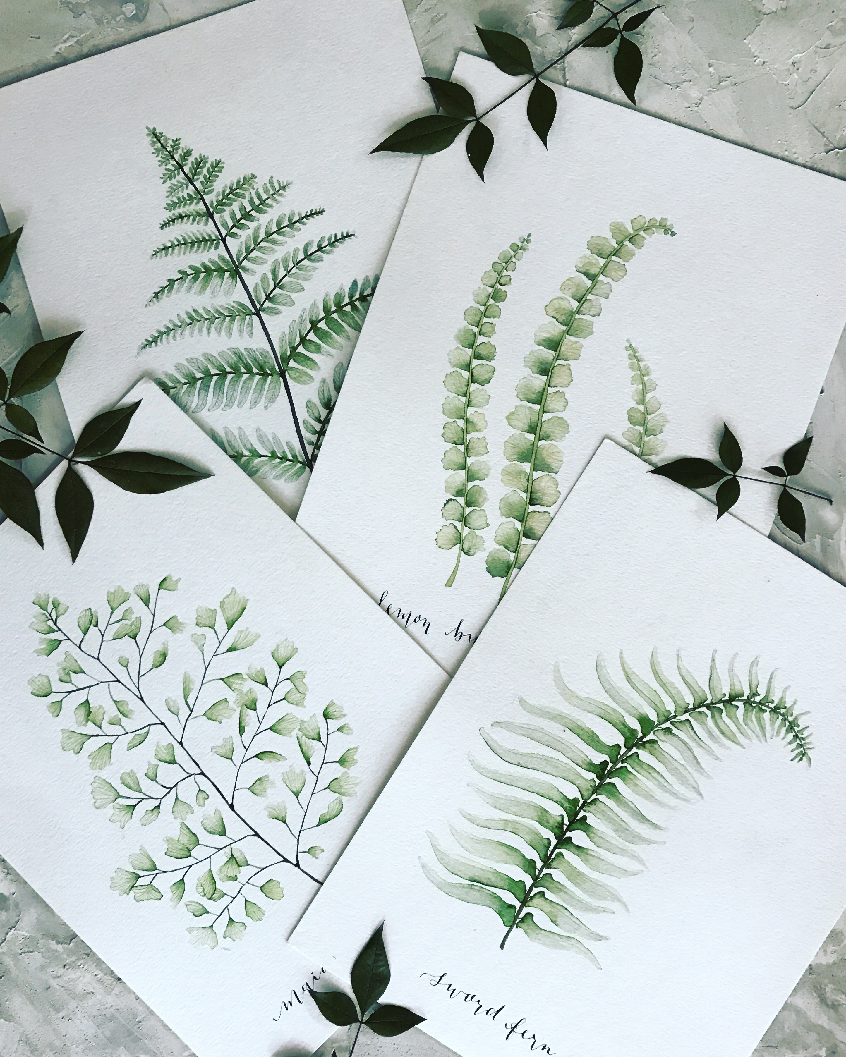 Watercolor Fern Prints