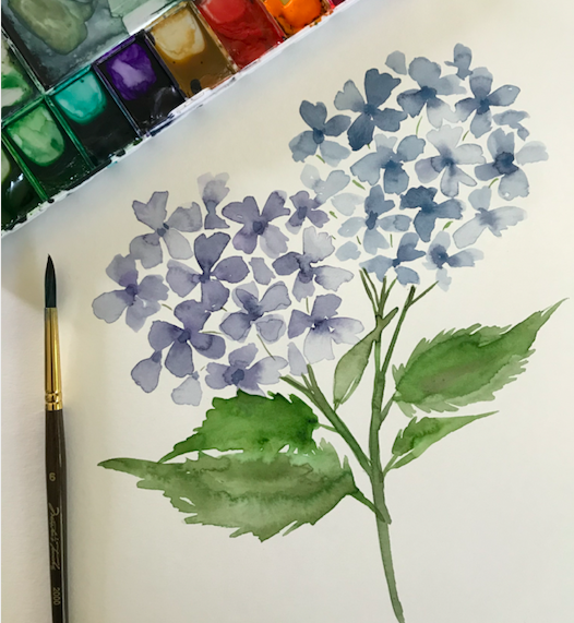 Watercolor Hydrangeas