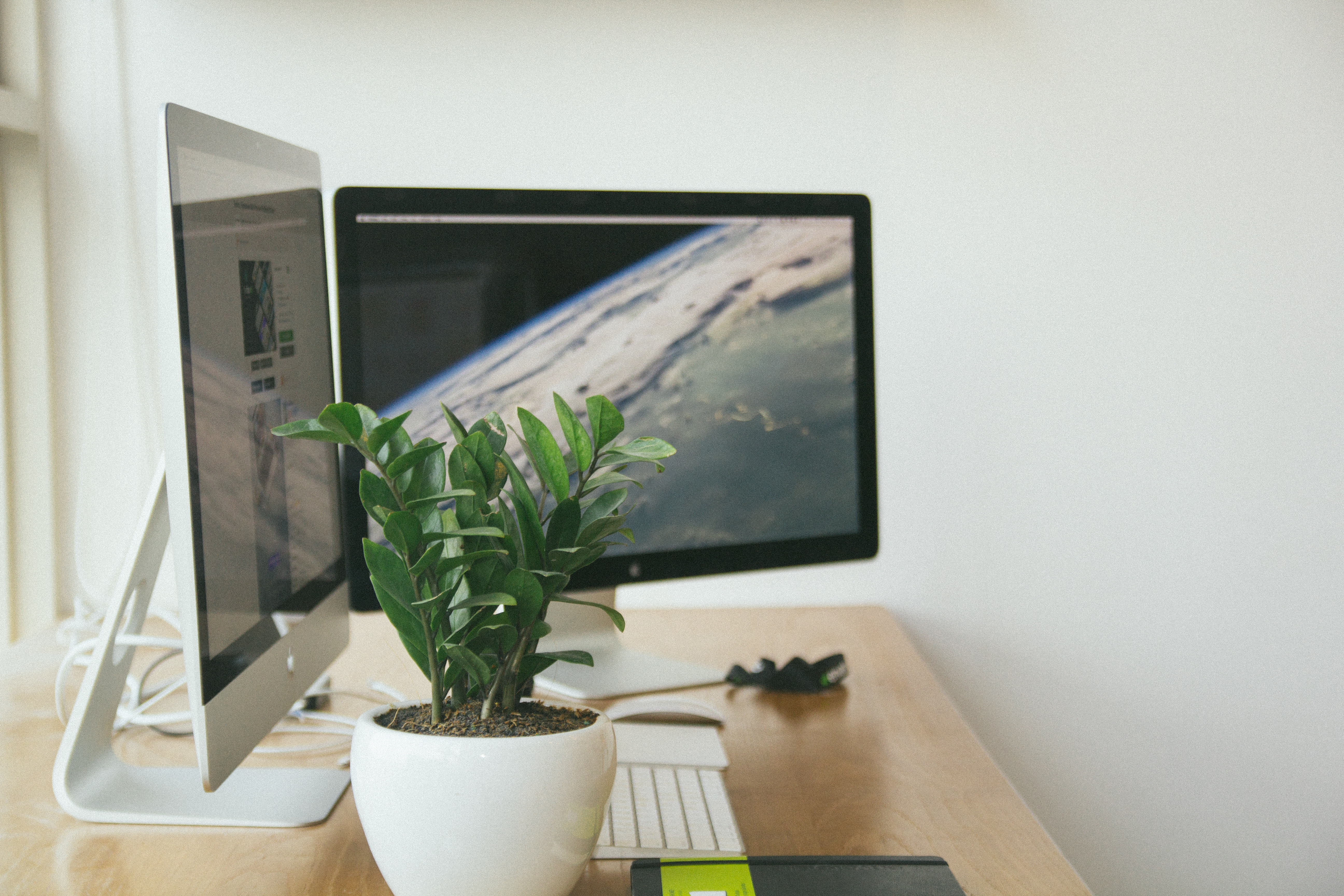 Build an Online Business