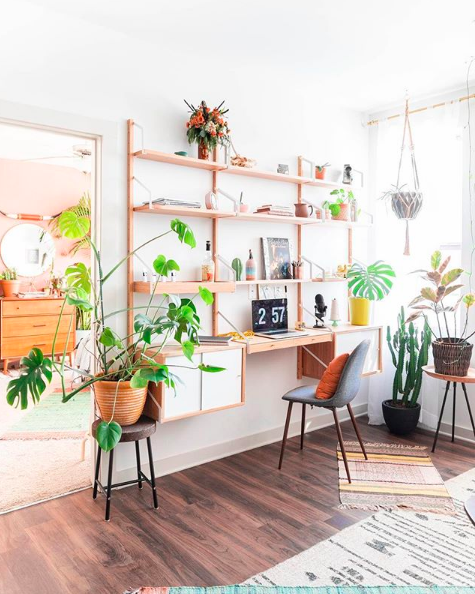 How to Care for Houseplants