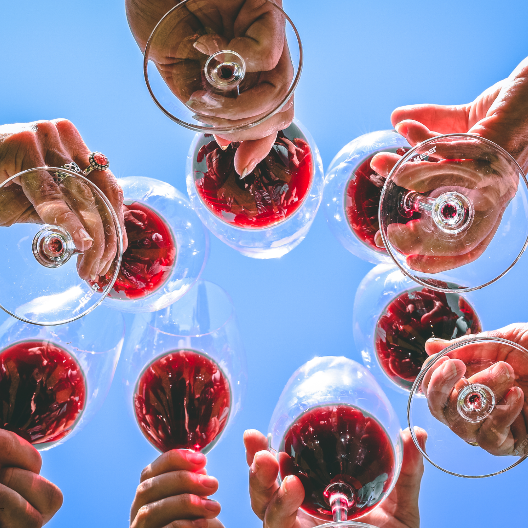 Wine 101: Back to School