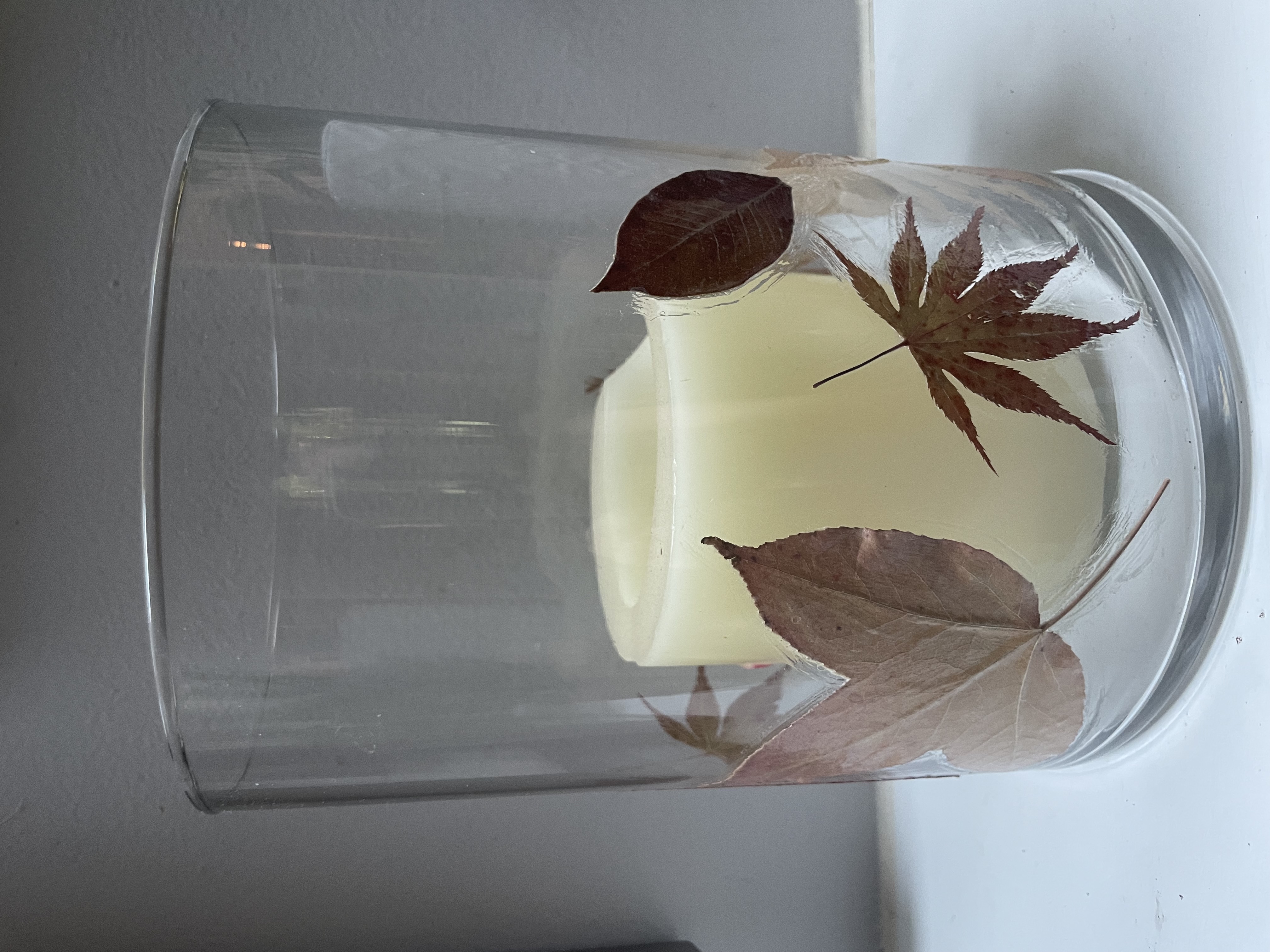 Fall Pressed Flower Lantern