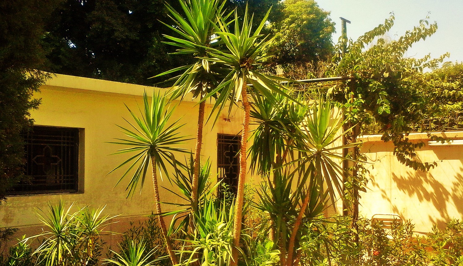 Maidens Dream In Gardens! Thrive Global