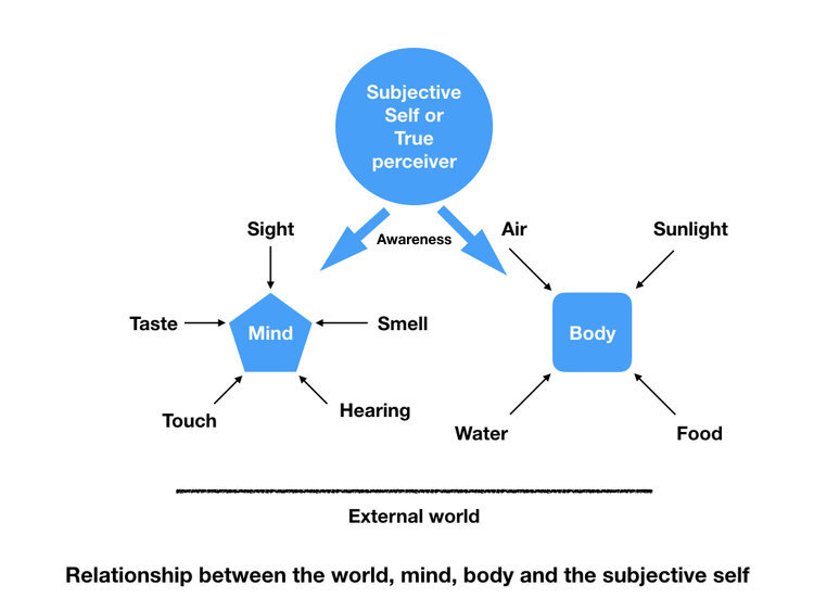 Subjective self.001.jpeg