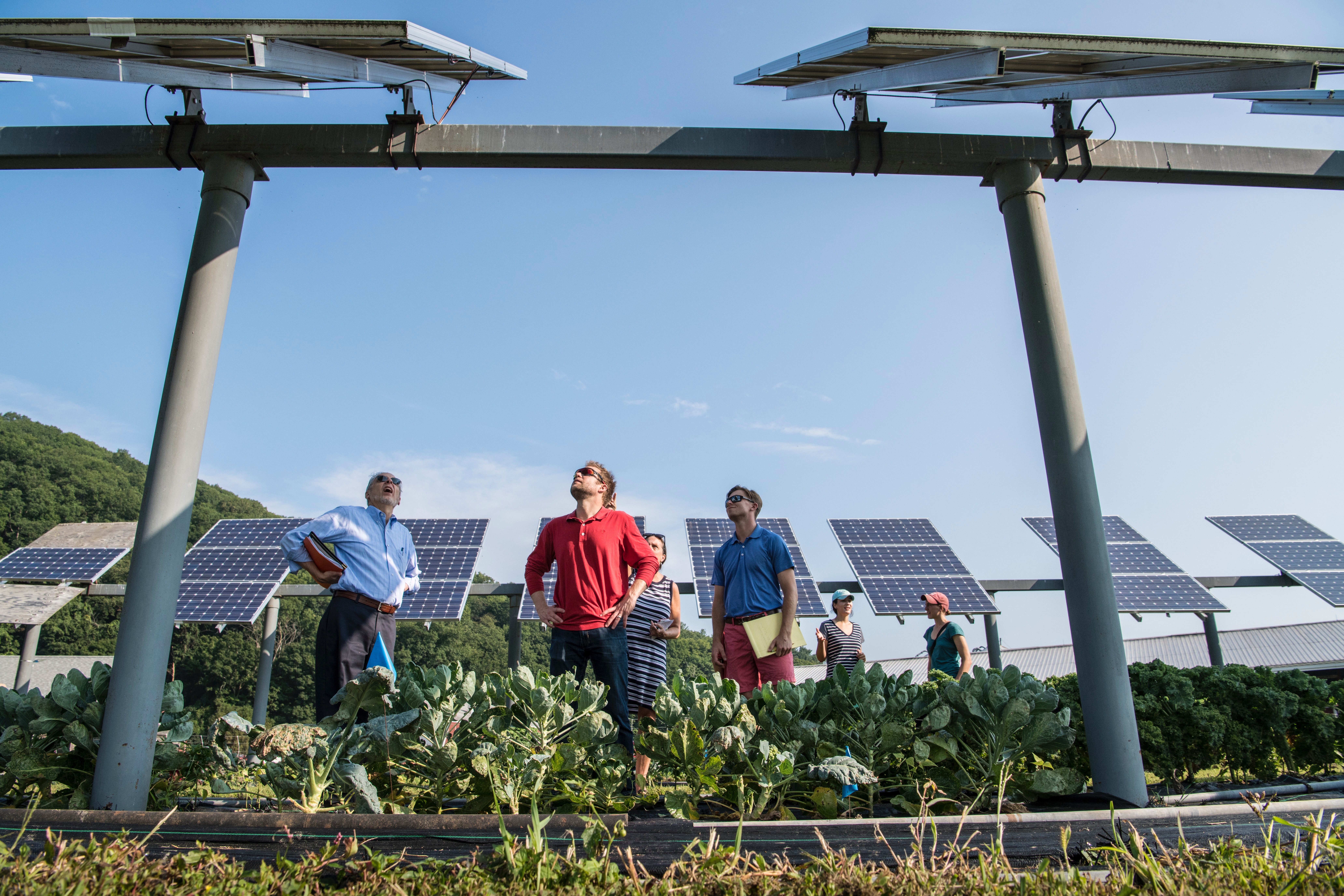 Urban Agriculture and Innovation Program (UAIP) Grants