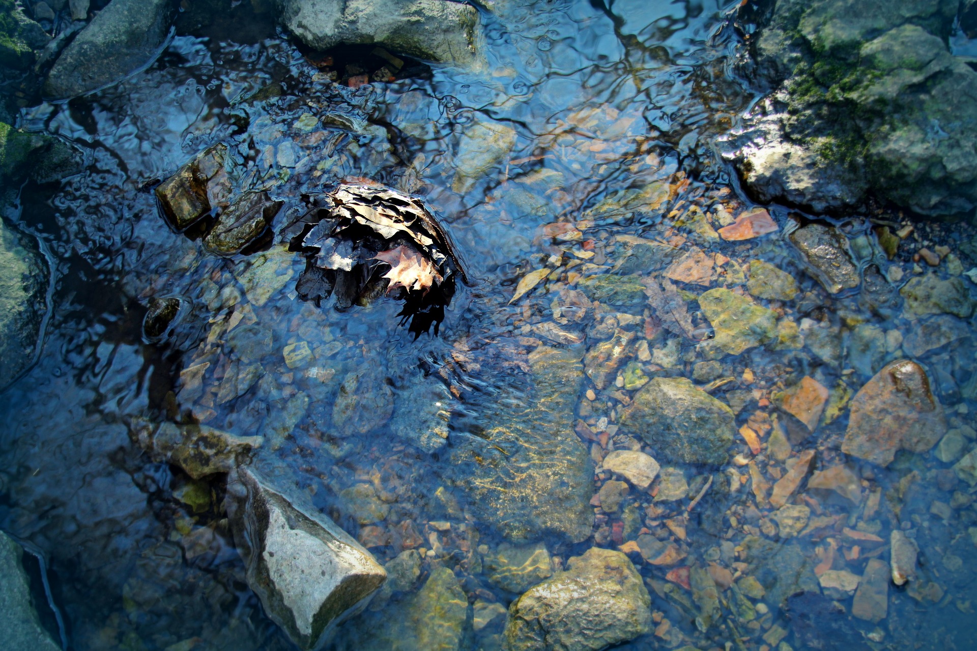 The Fish Protection Prize