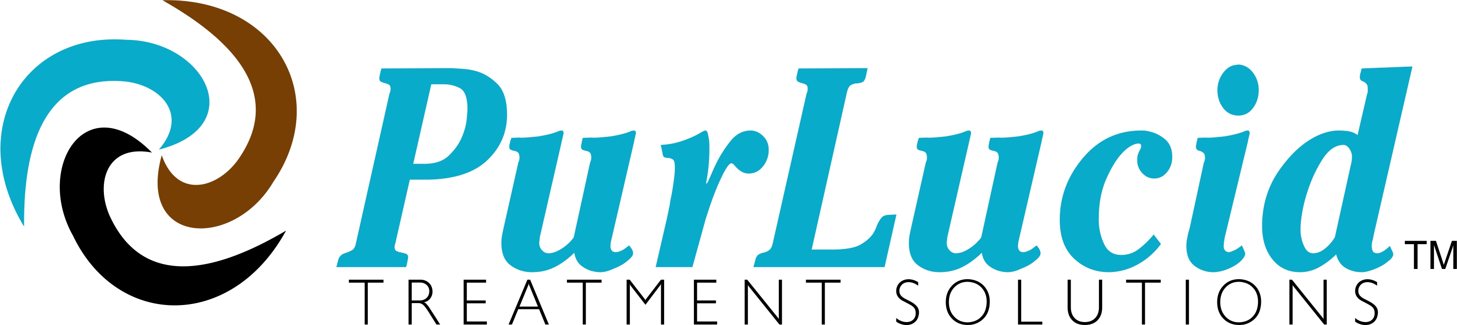 Purlucid Treatment Solutions Inc