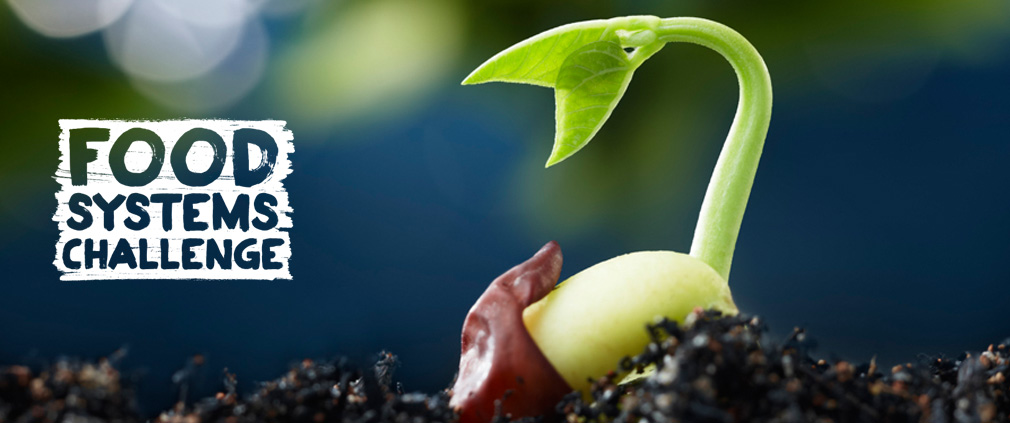 Food Systems Challenge
