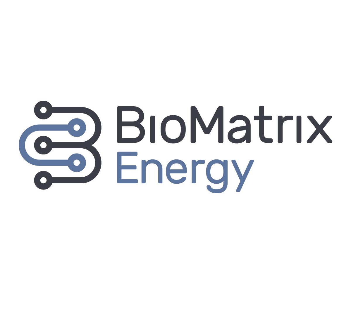 BioMatrix Energy Inc.