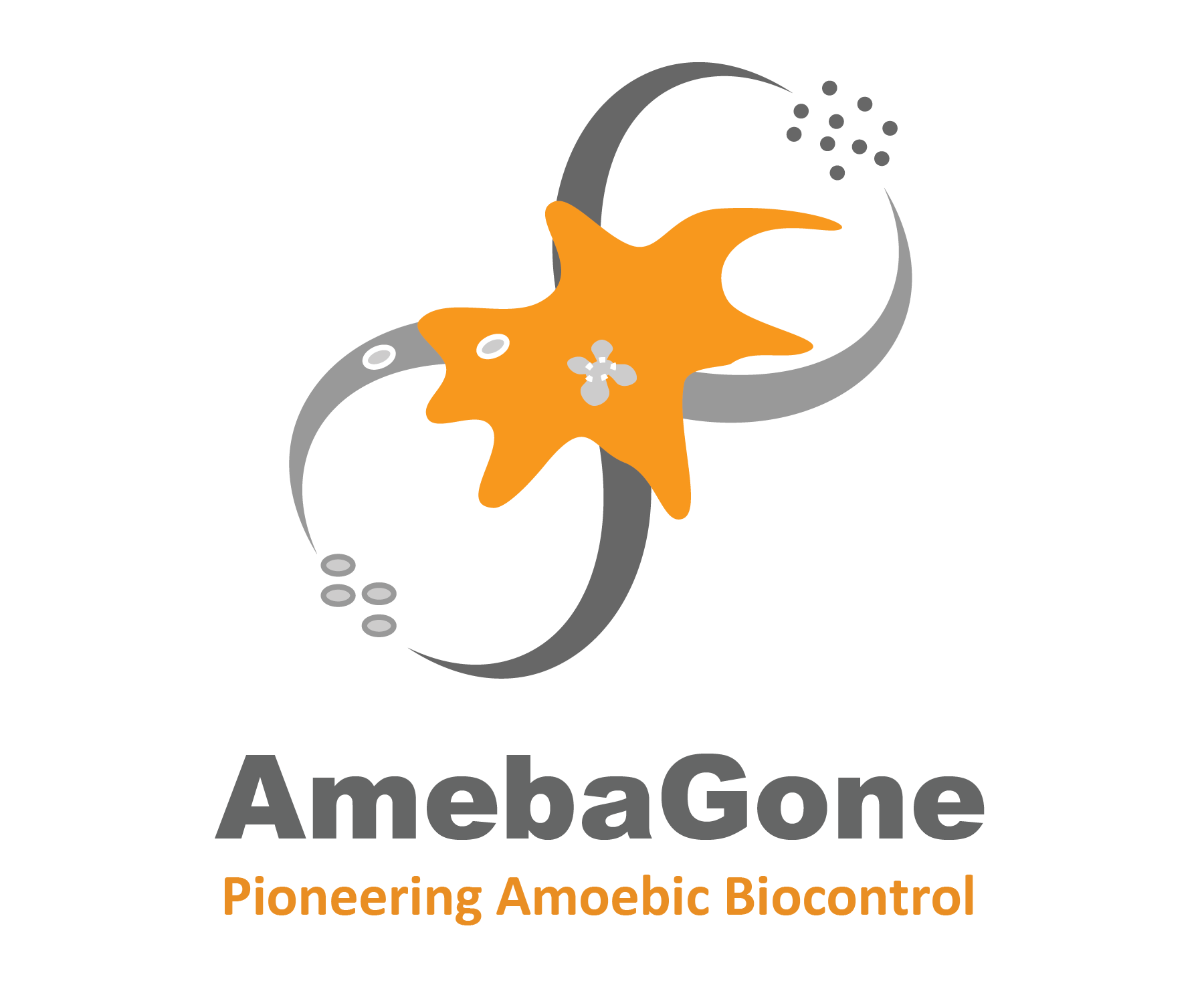 Amebagone Inc.