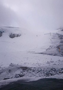 11947471_10153602199733518_2832288987324246887_n