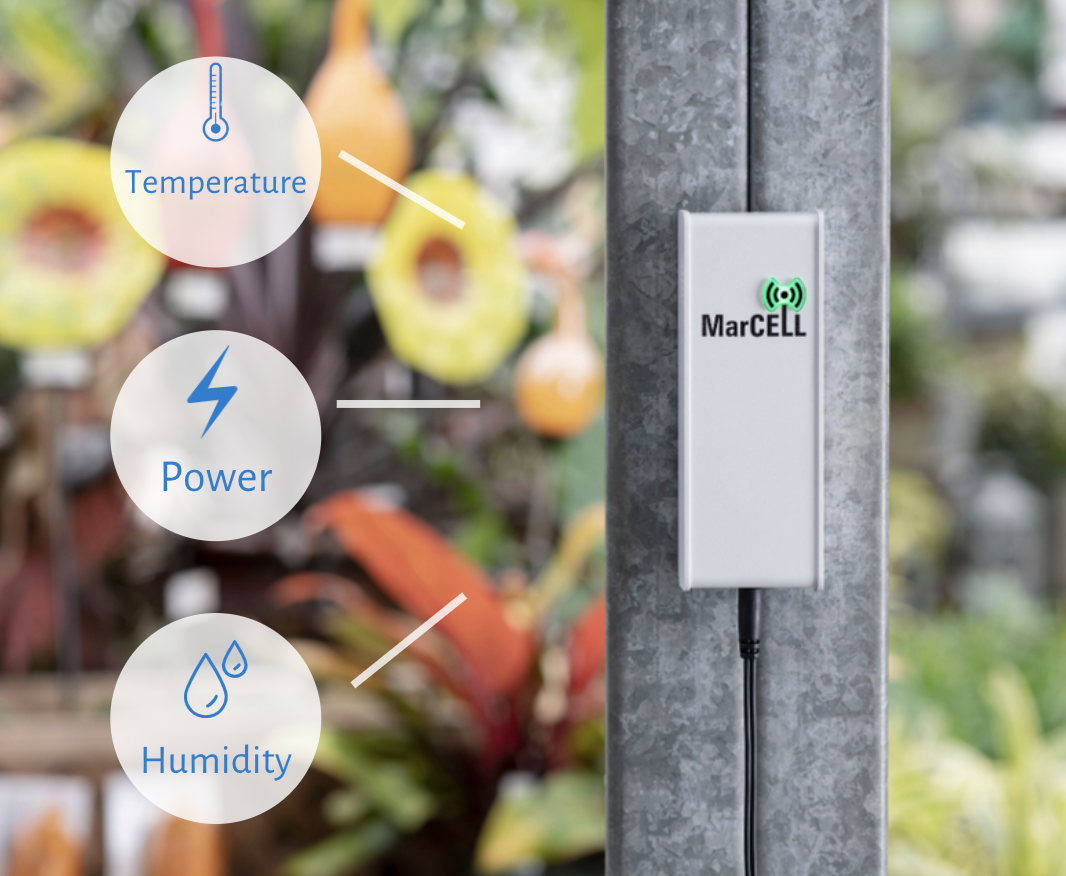 Remote Greenhouse Temperature Monitor Cellular Multisensors MarCELL