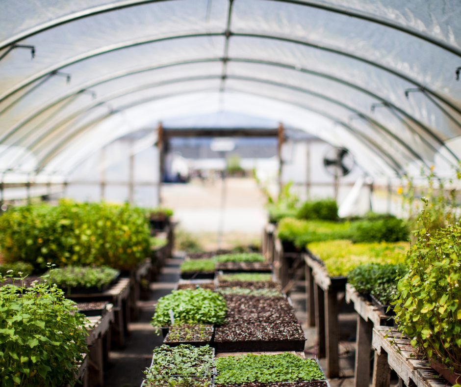 Greenhouse Beginner's Guide
