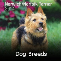 PRE-ORDER YOUR 2014 CALENDARS TODAY Dog Breeds