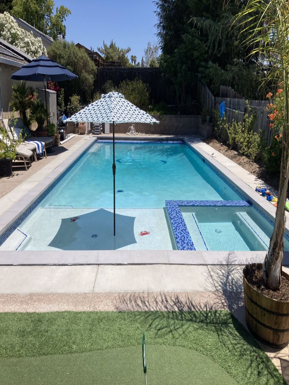 Swimming Pool Contractor