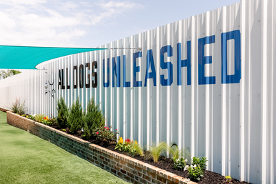 In home dog training