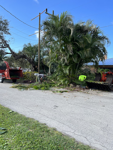 Gerard's Tree Service - Tree service St James City, Florida