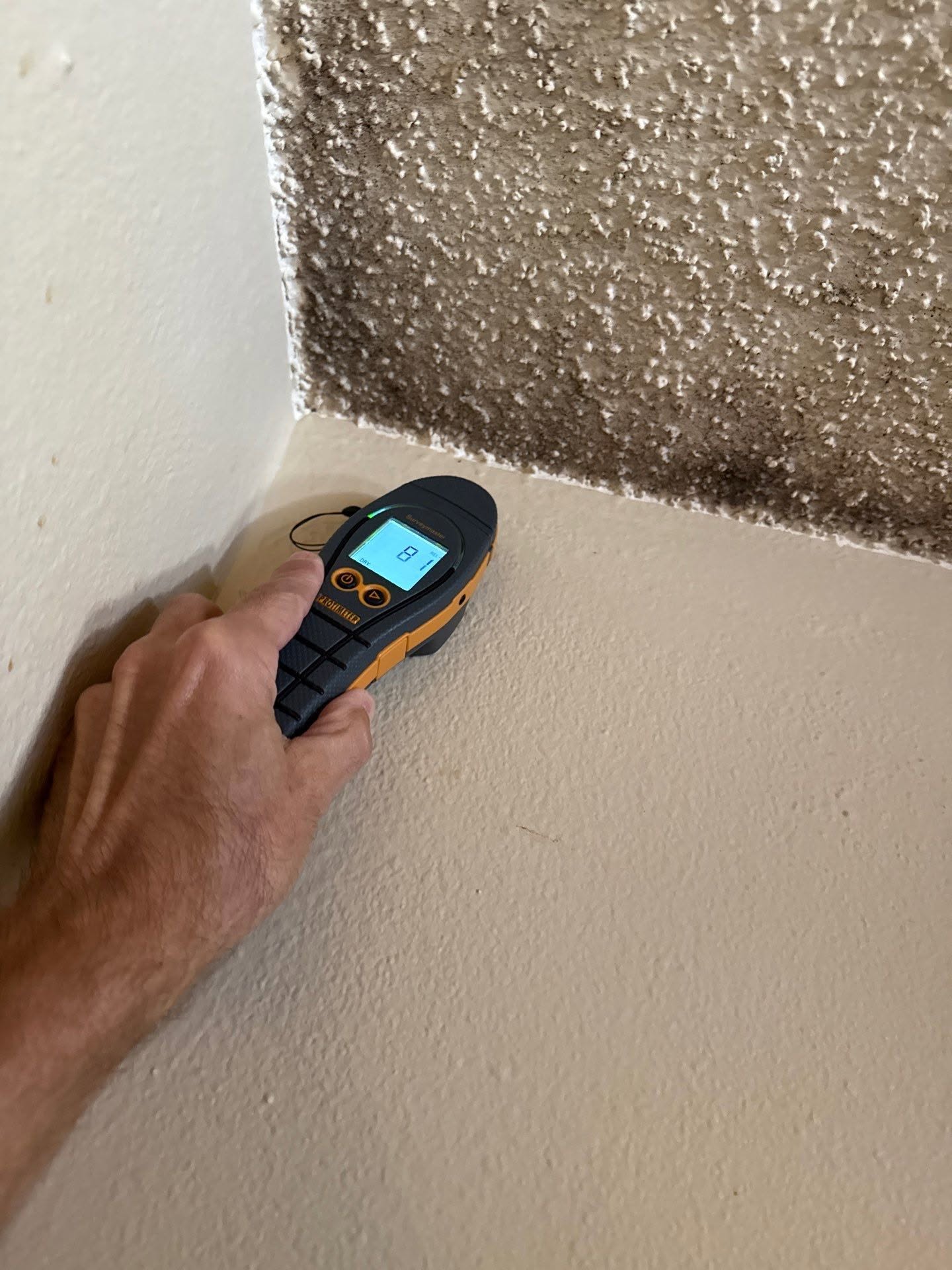 Mold Testing