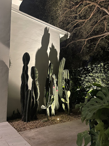 Landscape Lighting