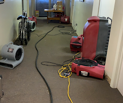 Best Water Damage Restoration Shelby Township