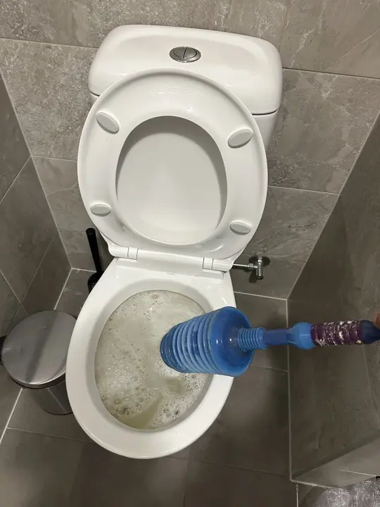 Toilet Repair