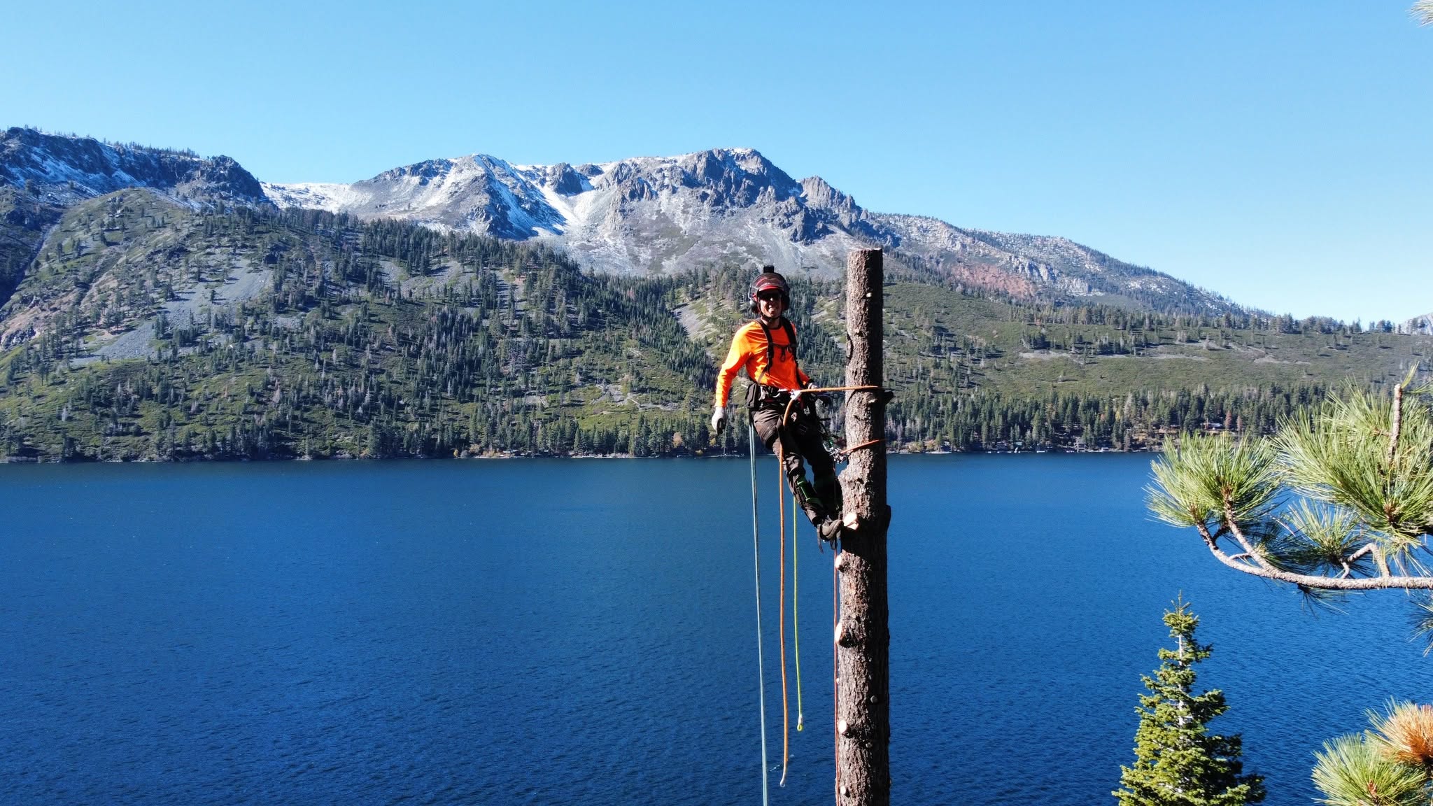 Sierra Crest Tree Service - South Lake Tahoe, California