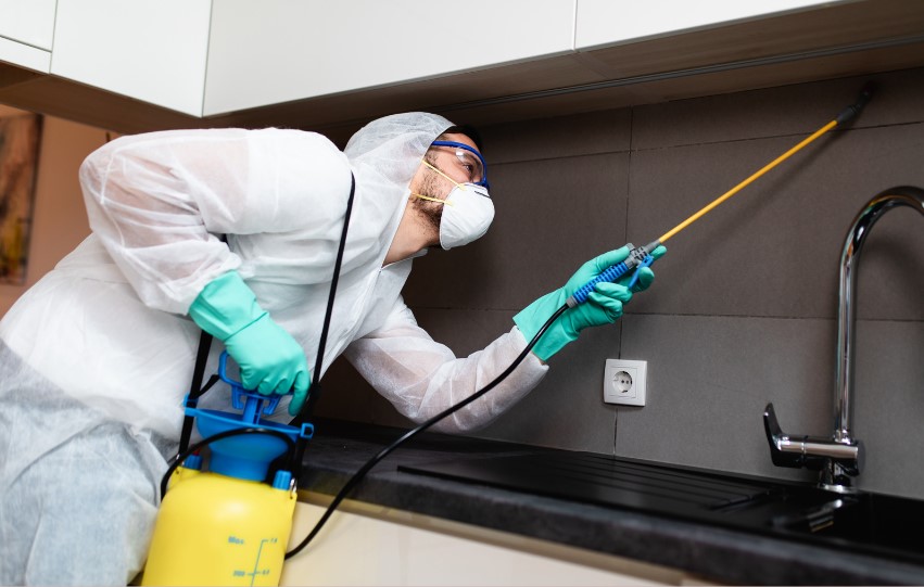 Termite Control