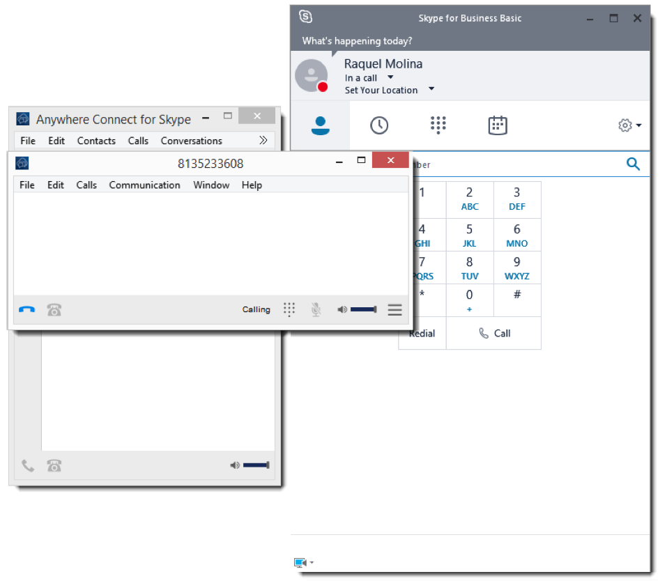 Skype for Business Basic in call window - Image opens in full resolution in a new tab