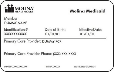 ohmolina.JPG?1439314381