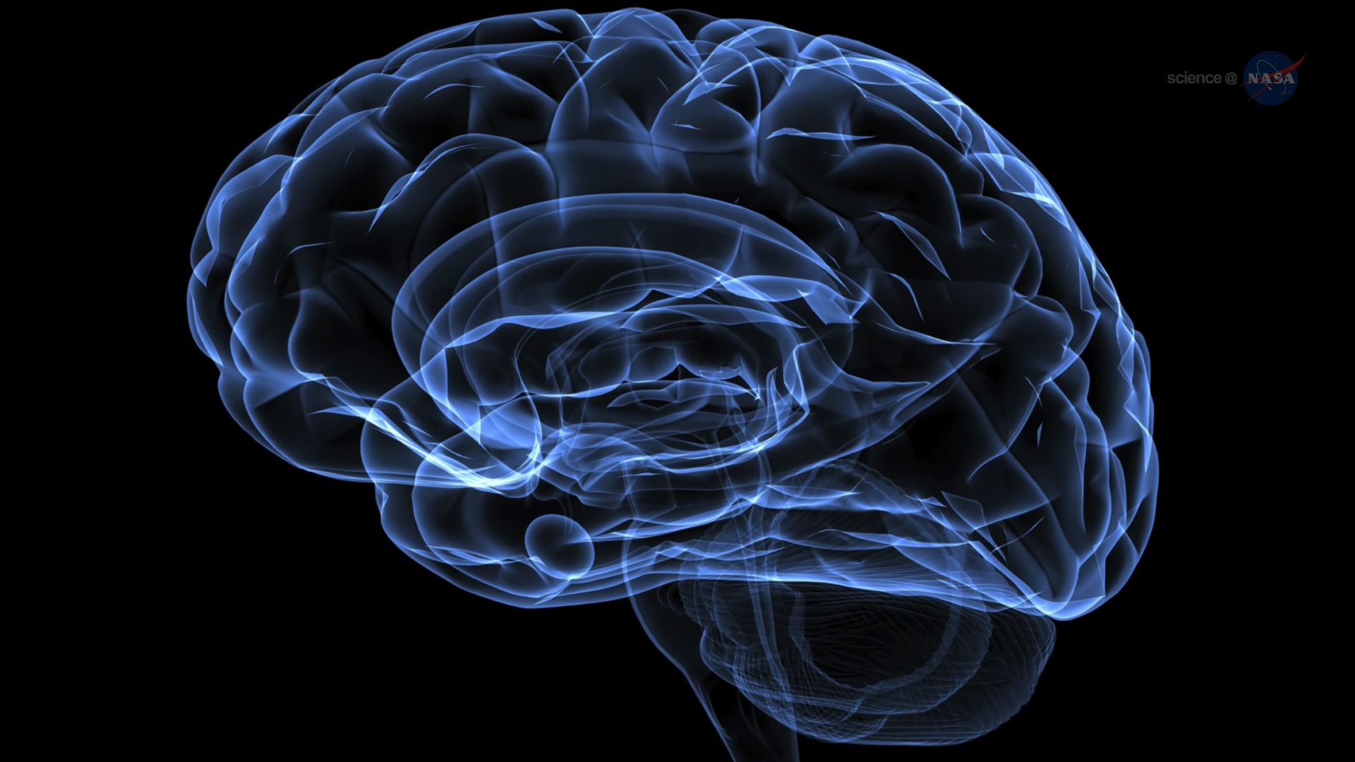 ScienceCast 174: Subtracting Gravity from Alzheimer's episode artwork