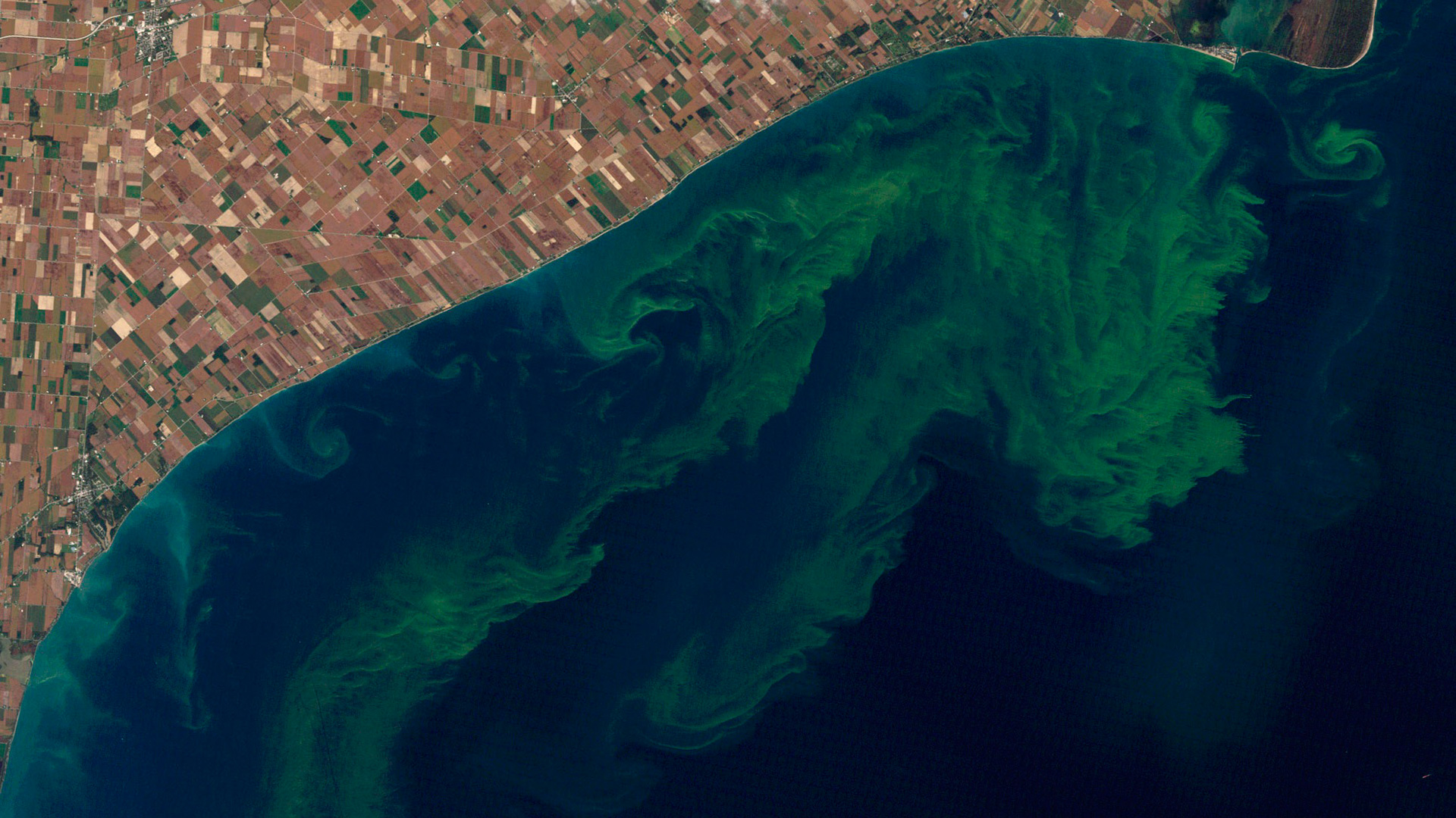 ScienceCast 185: The Good, the Bad, and the Algae episode artwork