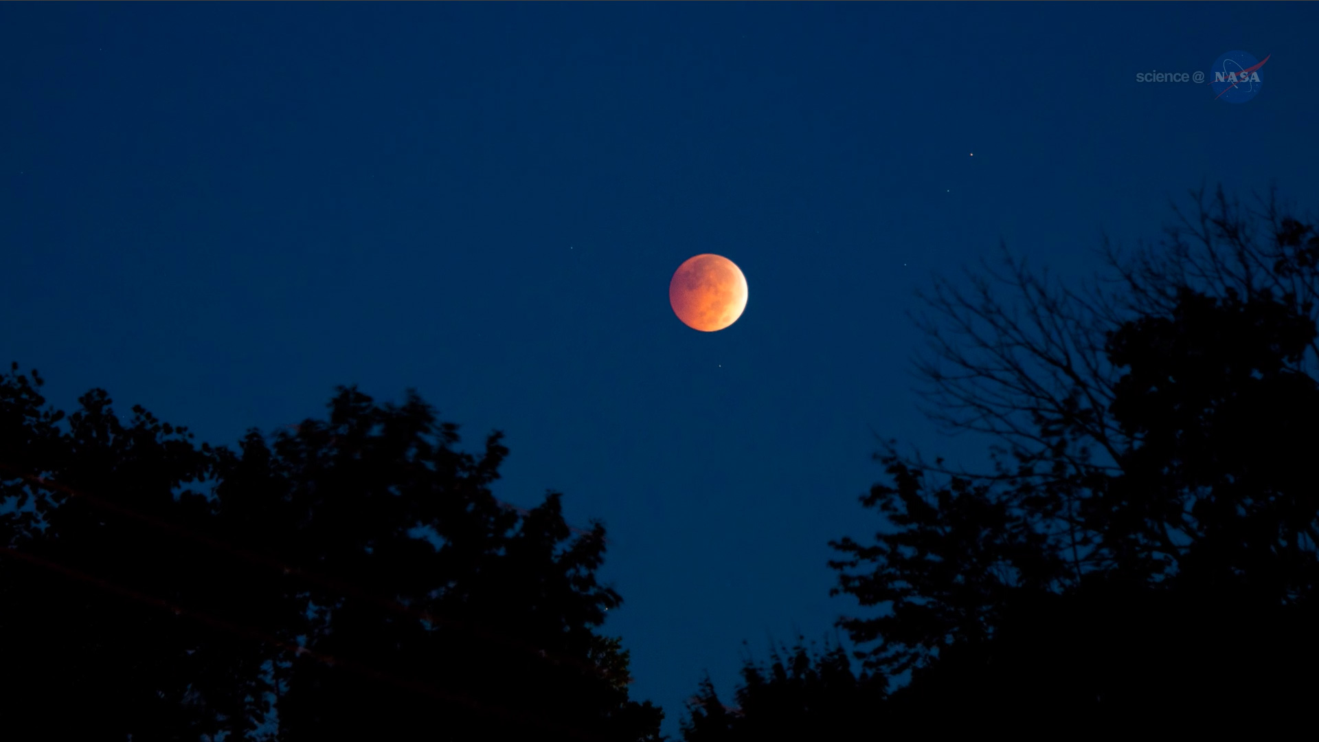 ScienceCast 192: Total Eclipse of the Harvest Moon episode artwork