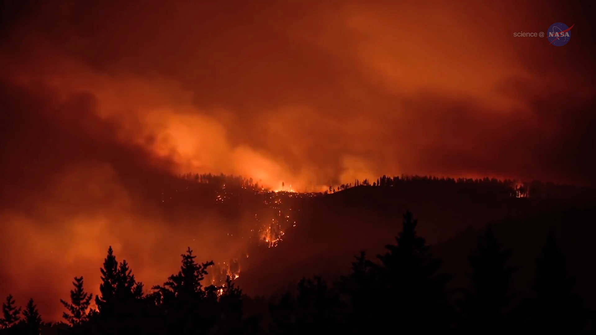 ScienceCast 201: Taking the Wild out of Wildfire episode artwork