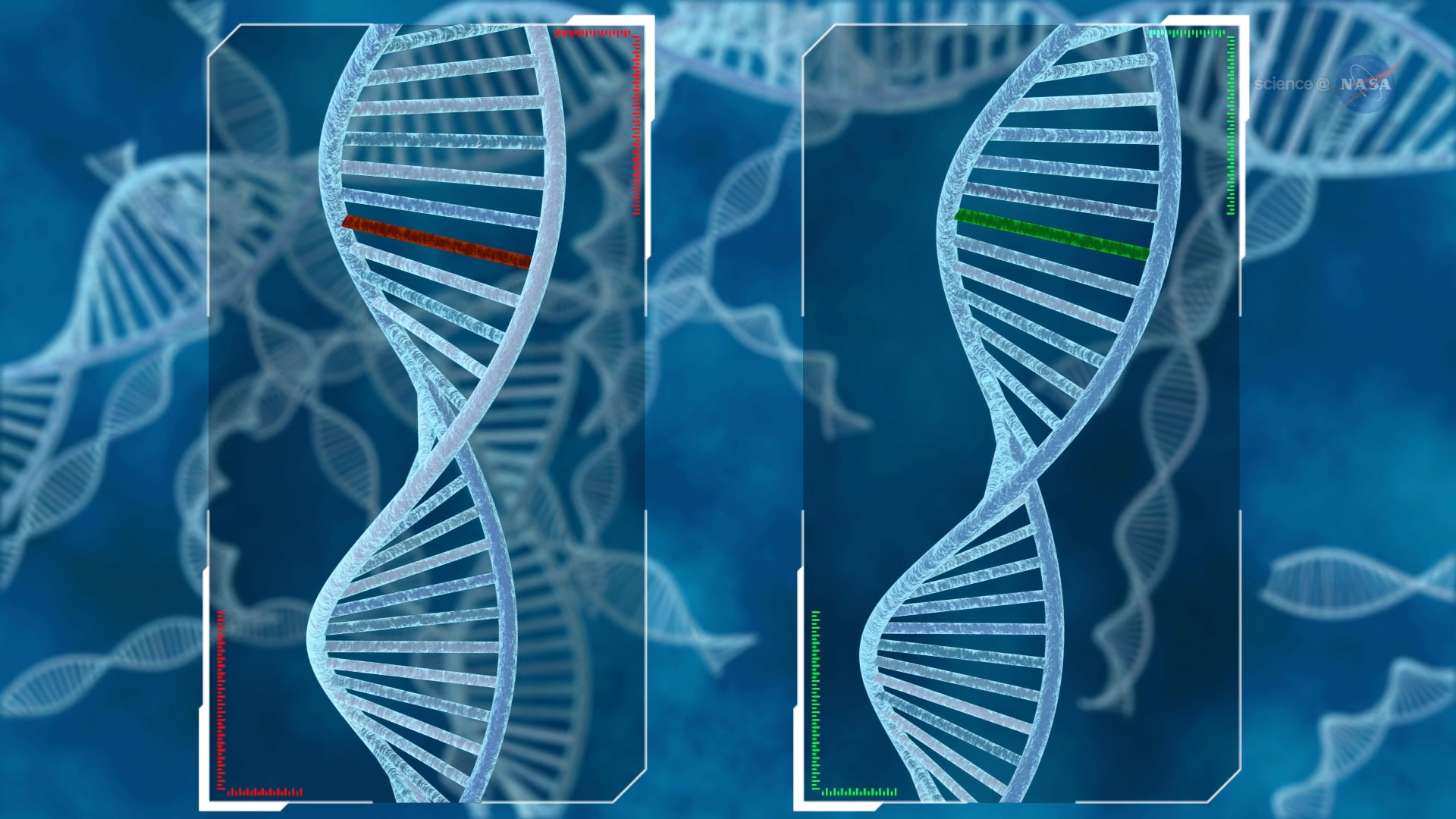 ScienceCast 217: One Carbon Metabolism on the Space Station episode artwork