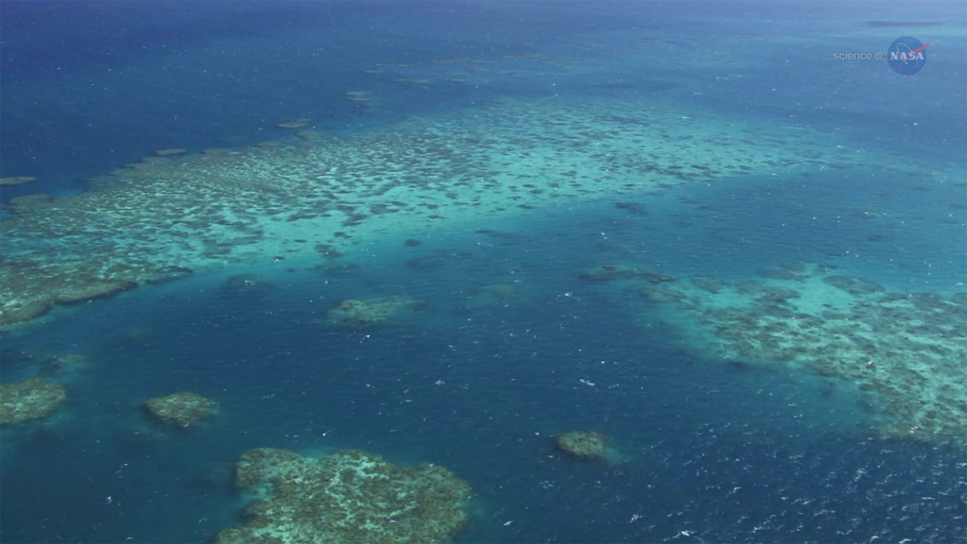 ScienceCast 235: A New View of Coral Reefs episode artwork