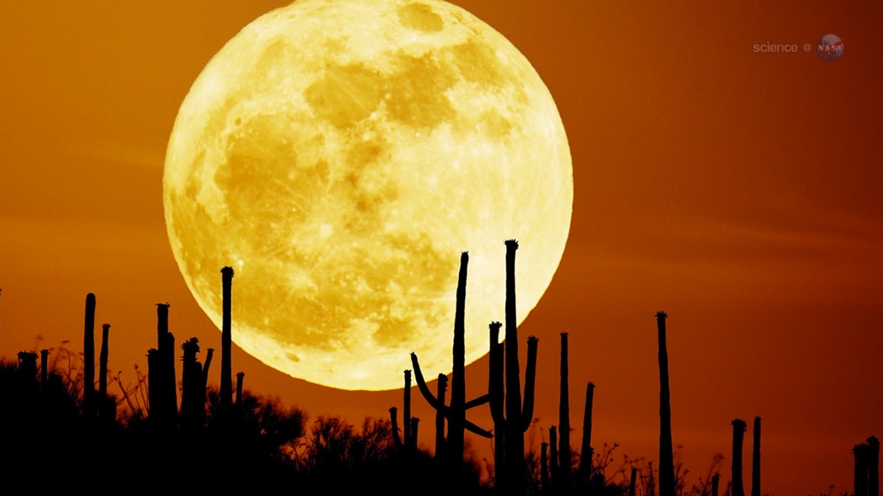 ScienceCast 51: The Super Moon of May 2012 episode artwork
