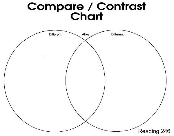 Compare and contrast essay on cultures