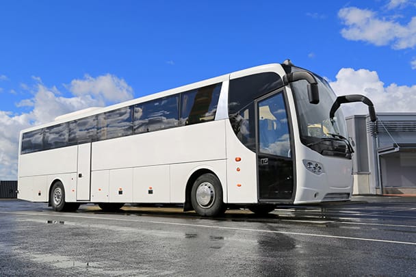 bus