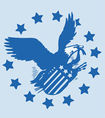 Presidential Investigations & Bail Bonding