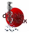 Double Helix Services, Inc. 