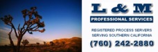 L&M Professional Services