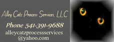 Alley Catz Process Service