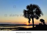 Atlantic Process Services