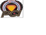 Professional Consulting and Investigations