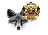 Fox Lair Investigative Services