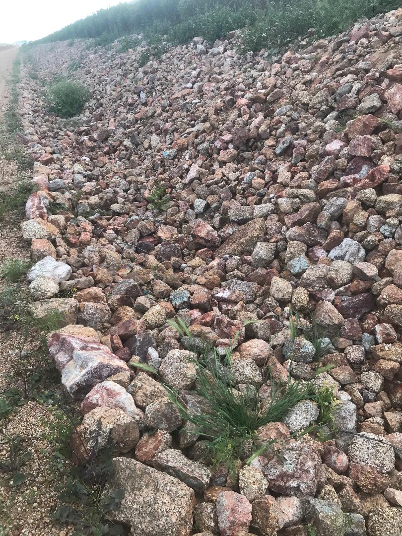 Woolice Rocks 914 - Woolly Rocks My World
