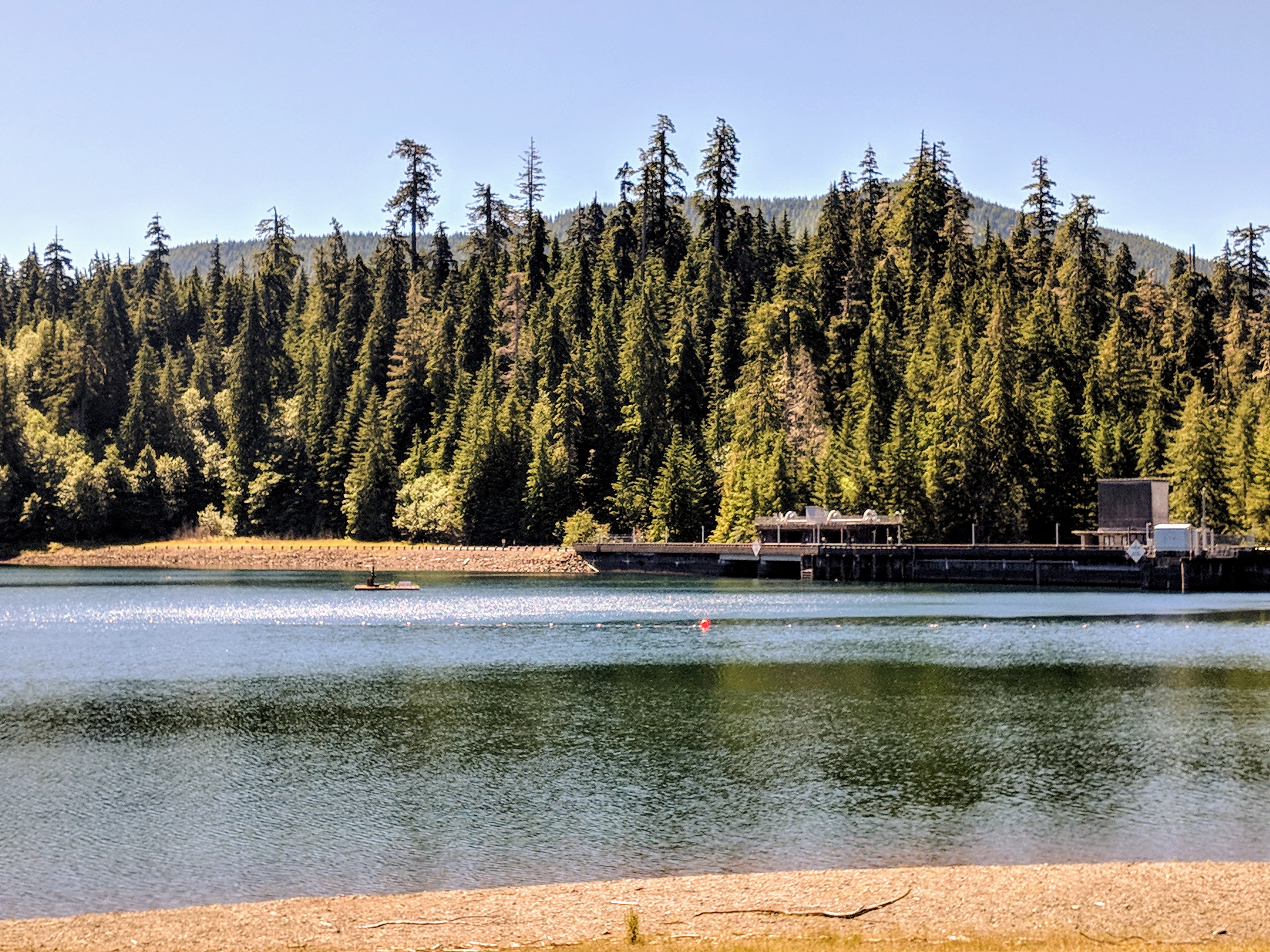 391 Wynoochee Dam Day Use Area, Montesano, WA