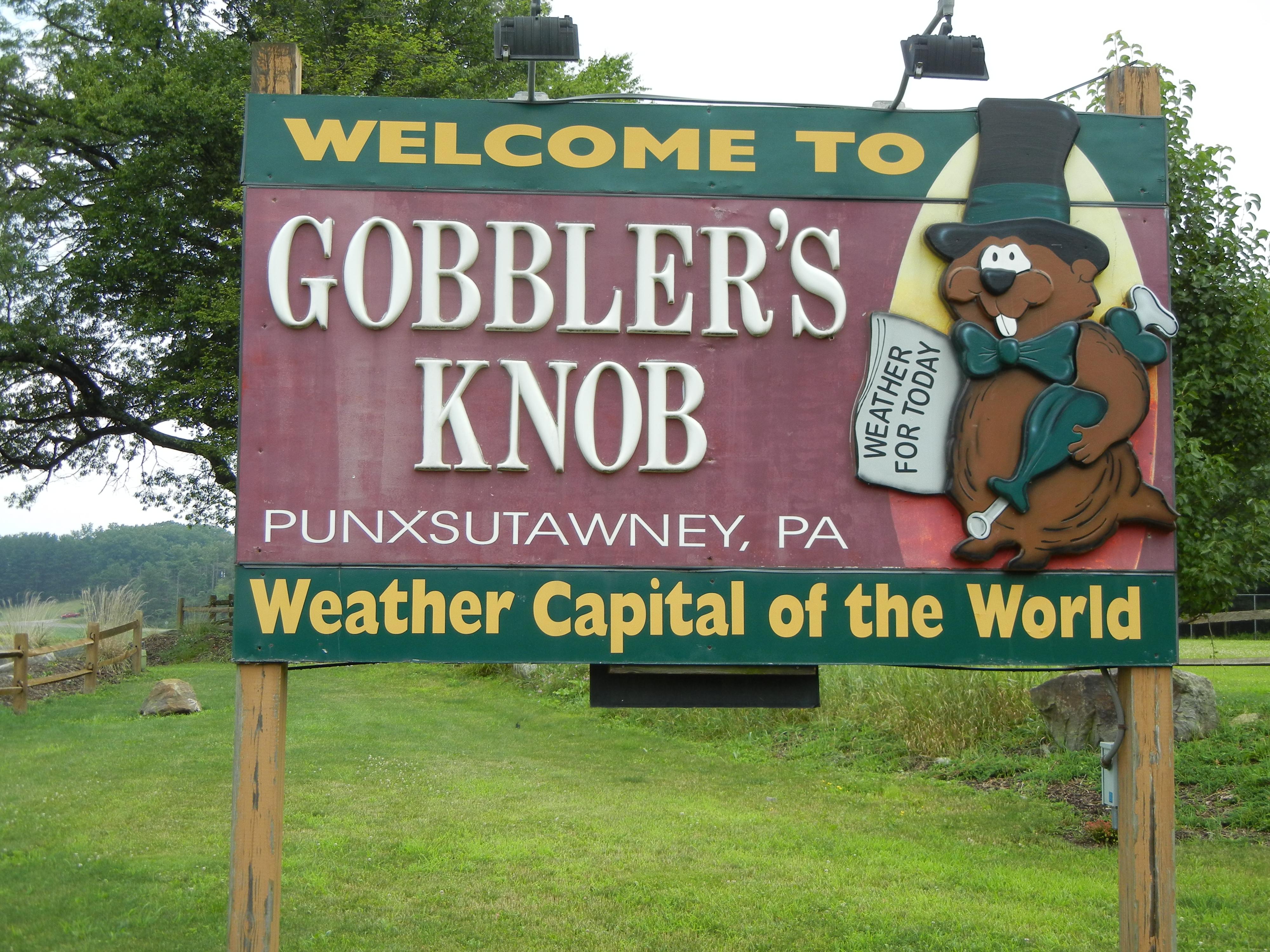 183 To Gobbler's Knob
