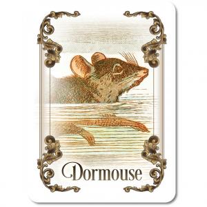 Tea Party Pack: "Find the Dormouse"