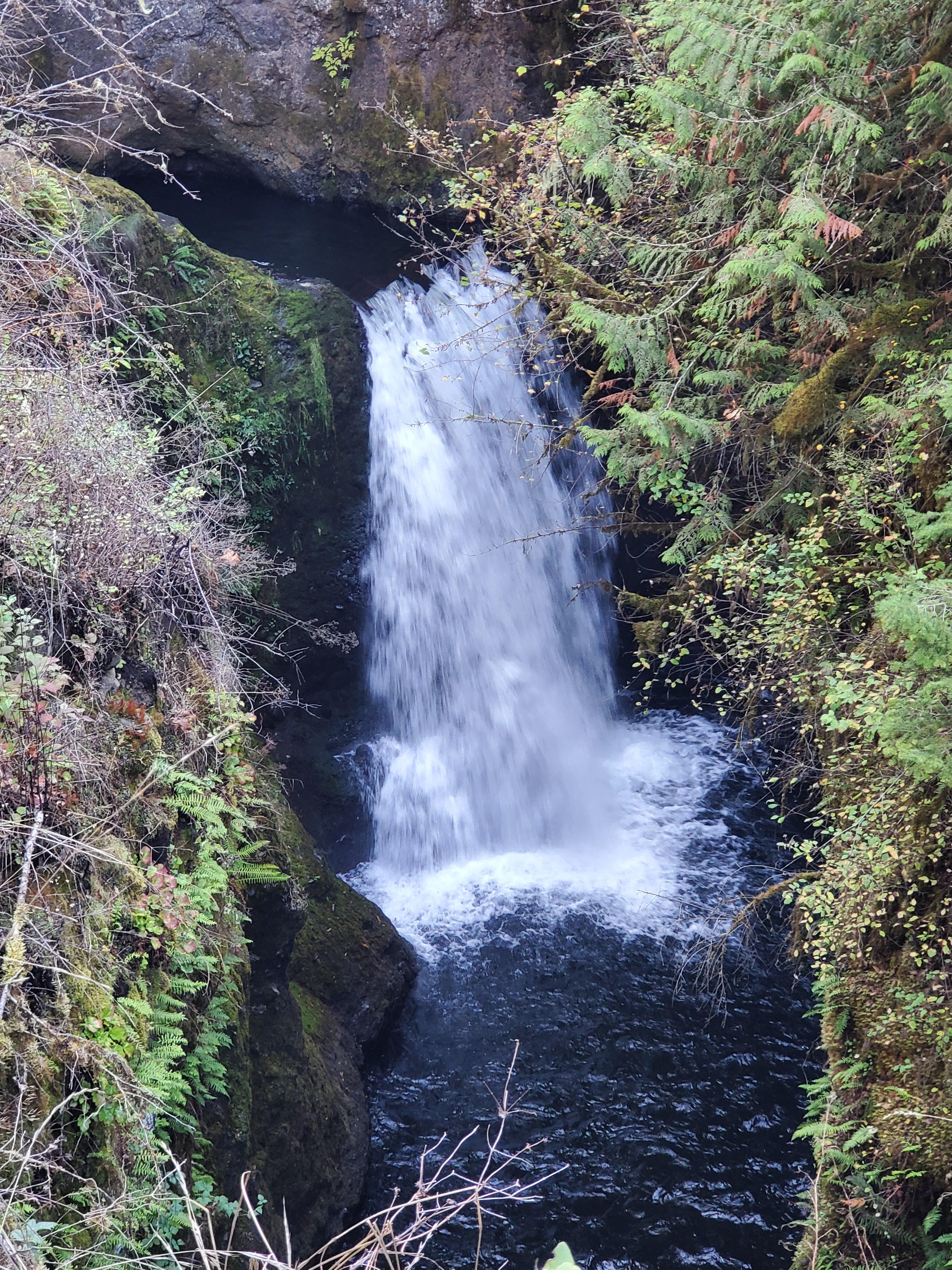 Agent Dawn: 187 - A Mole at Deschutes Falls Park